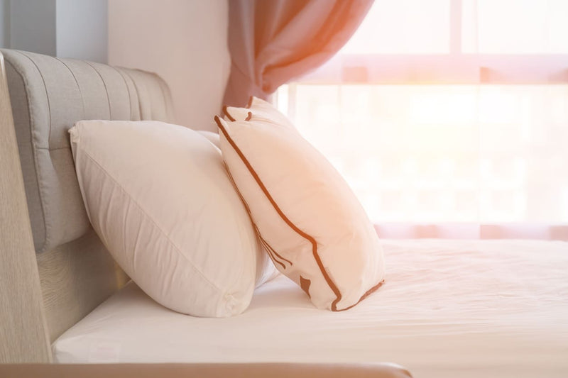 Buy Pregnancy Pillows in Newfoundland and Labrador